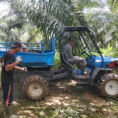 Système hydraulique Tracteur à huile de palme pour les plantations agricoles d'huile de palme
