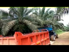 Tracteur 14HP de déchargeur de plantation d'huile de palme d'agriculture d'entraînement de 4 roues