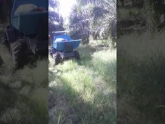 Tracteur à huile de palme à moteur diesel