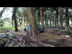 tracteur d'huile de palme d'empattement de 2150mm avec la capacité agricole de réservoir de carburant du pneu 11L