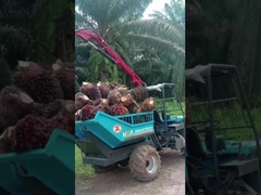 Tracteur à huile de palme indonésien de 22 ch Tracteur mini-ferme avec pince