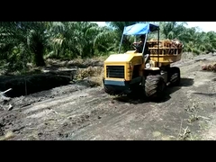 Tracteur hydraulique mini-agriculture 14 chevaux moteur tracteur pour les plantations de palmiers à huile
